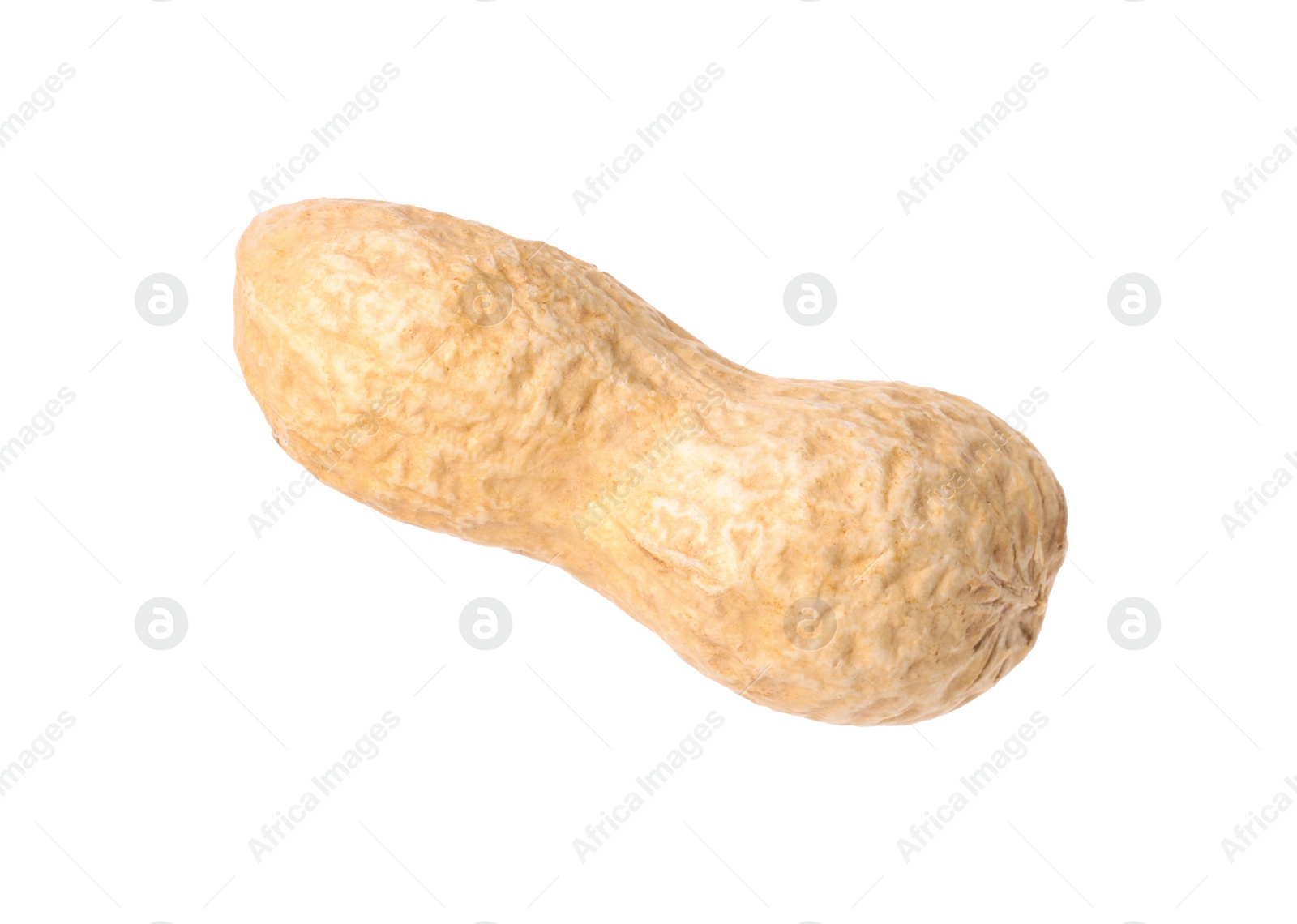 Photo of One fresh unpeeled peanut isolated on white