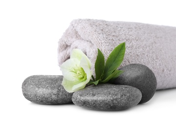 Photo of Towel, fresh flower and spa stones isolated on white