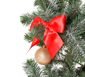 Photo of Beautiful Christmas tree with decor on white background, closeup. Celebration time