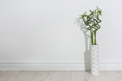 Vase with green bamboo on floor near light wall. Space for text