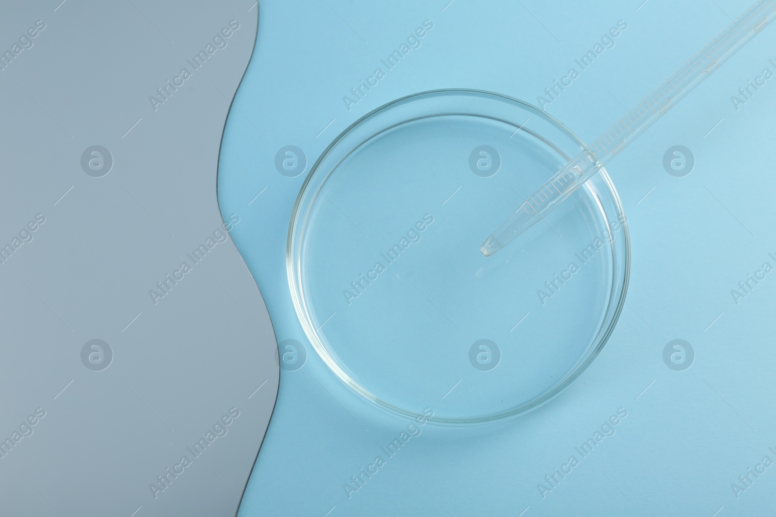Photo of Empty petri dish, pipette and mirror on light blue background, flat lay