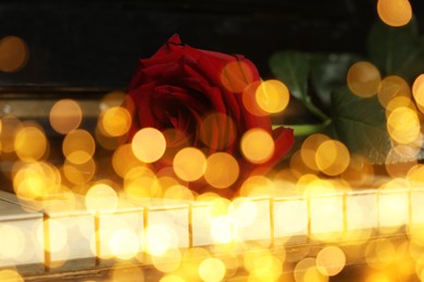 Image of Christmas and New Year music. Piano with rose, bokeh effect
