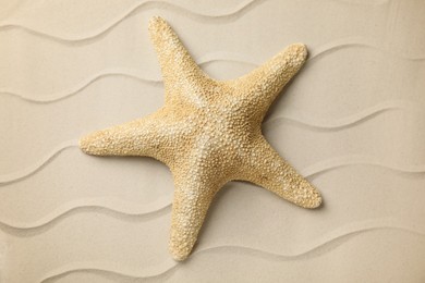 Photo of Beautiful sea star on sand, top view