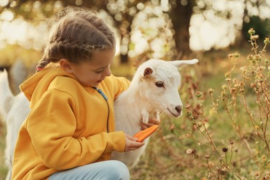 Photo of Farm animal. Cute little girl feeding goatling on pasture