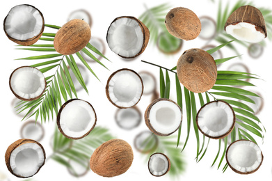 Image of Set with ripe coconuts and palm leaves on white background, top view