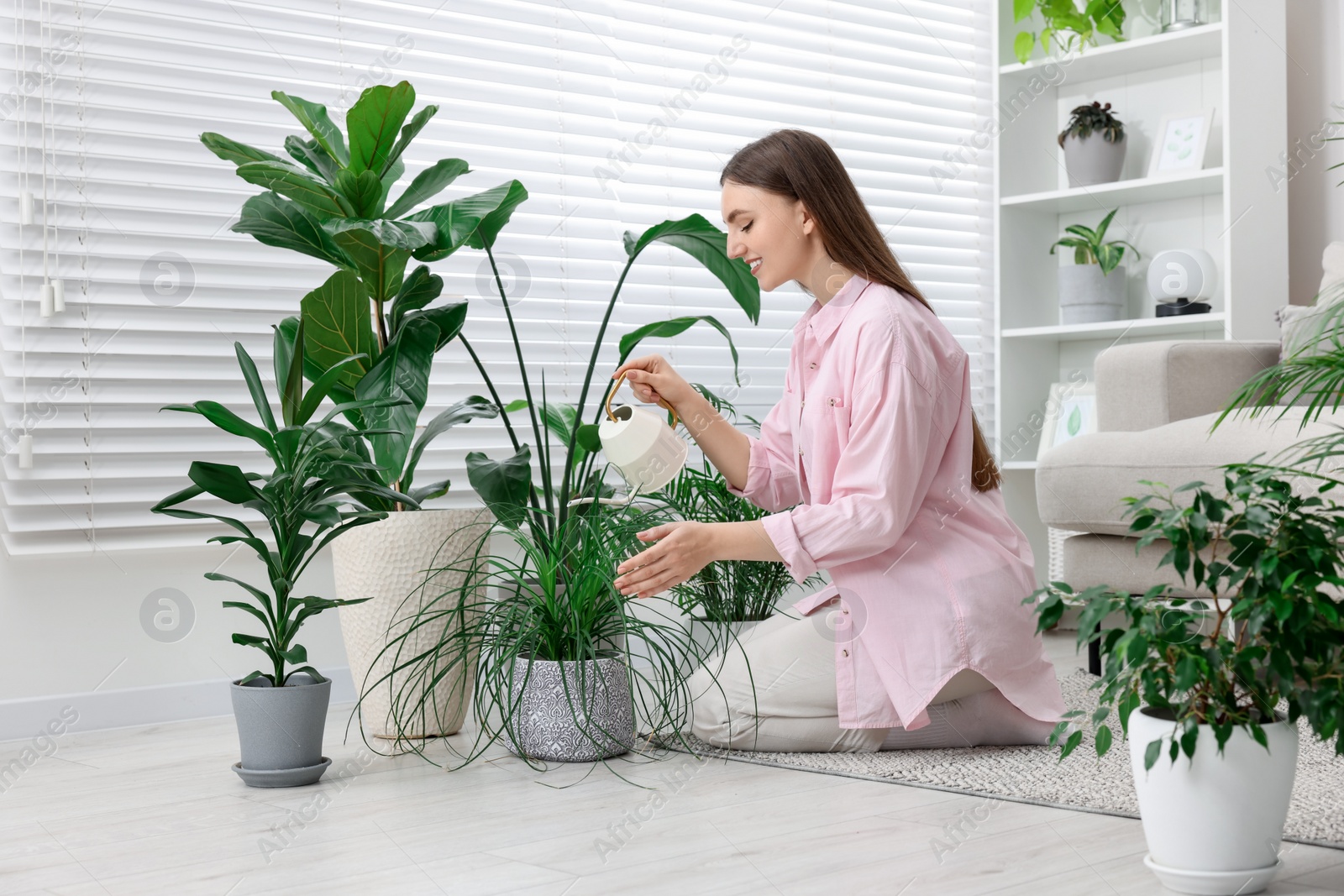 Photo of Beautiful young woman watering green houseplants at home