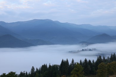 Photo of Picturesque view of mountains and forest covered with fog in morning
