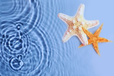 Image of Starfishes washed by sea water, top view. Space for text