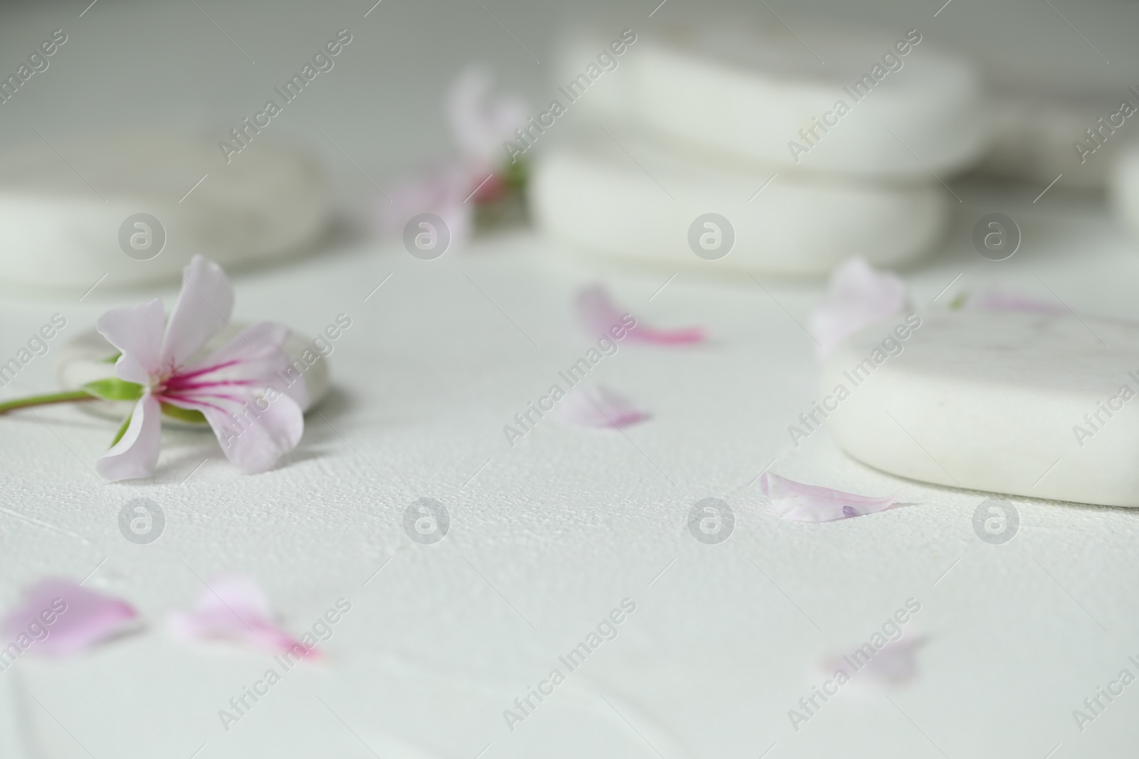 Photo of Spa stones and fresia flower on white table, closeup