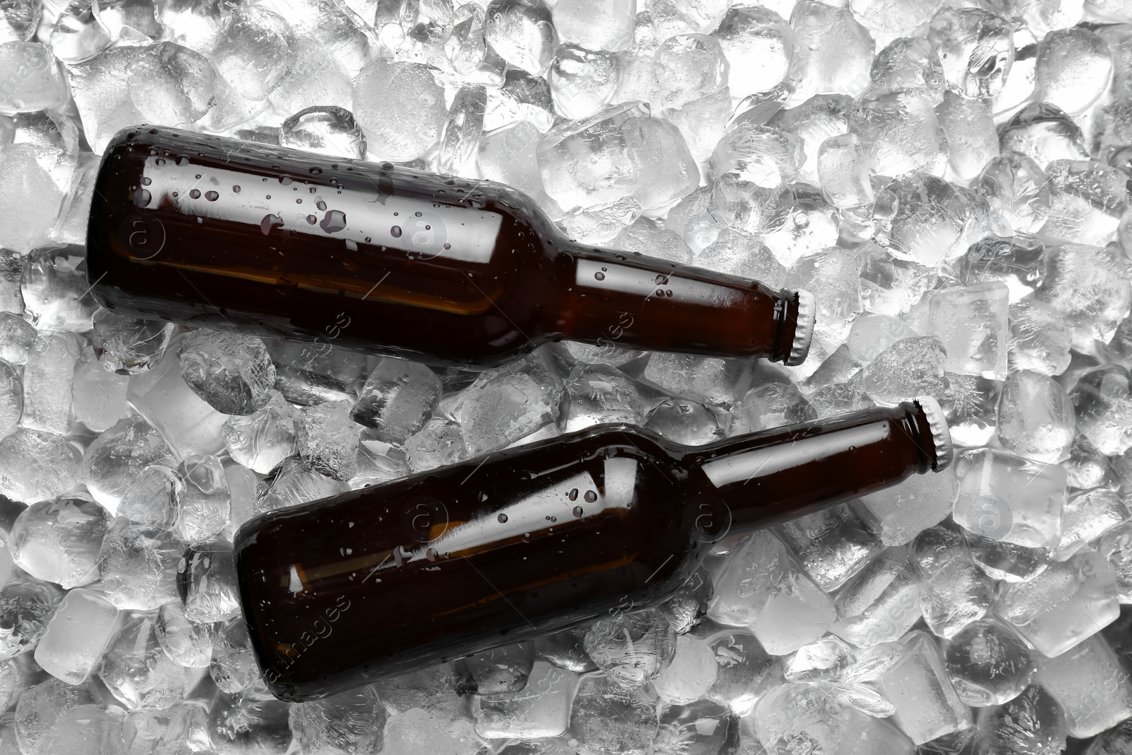 Photo of Bottles of beer on ice cubes, flat lay