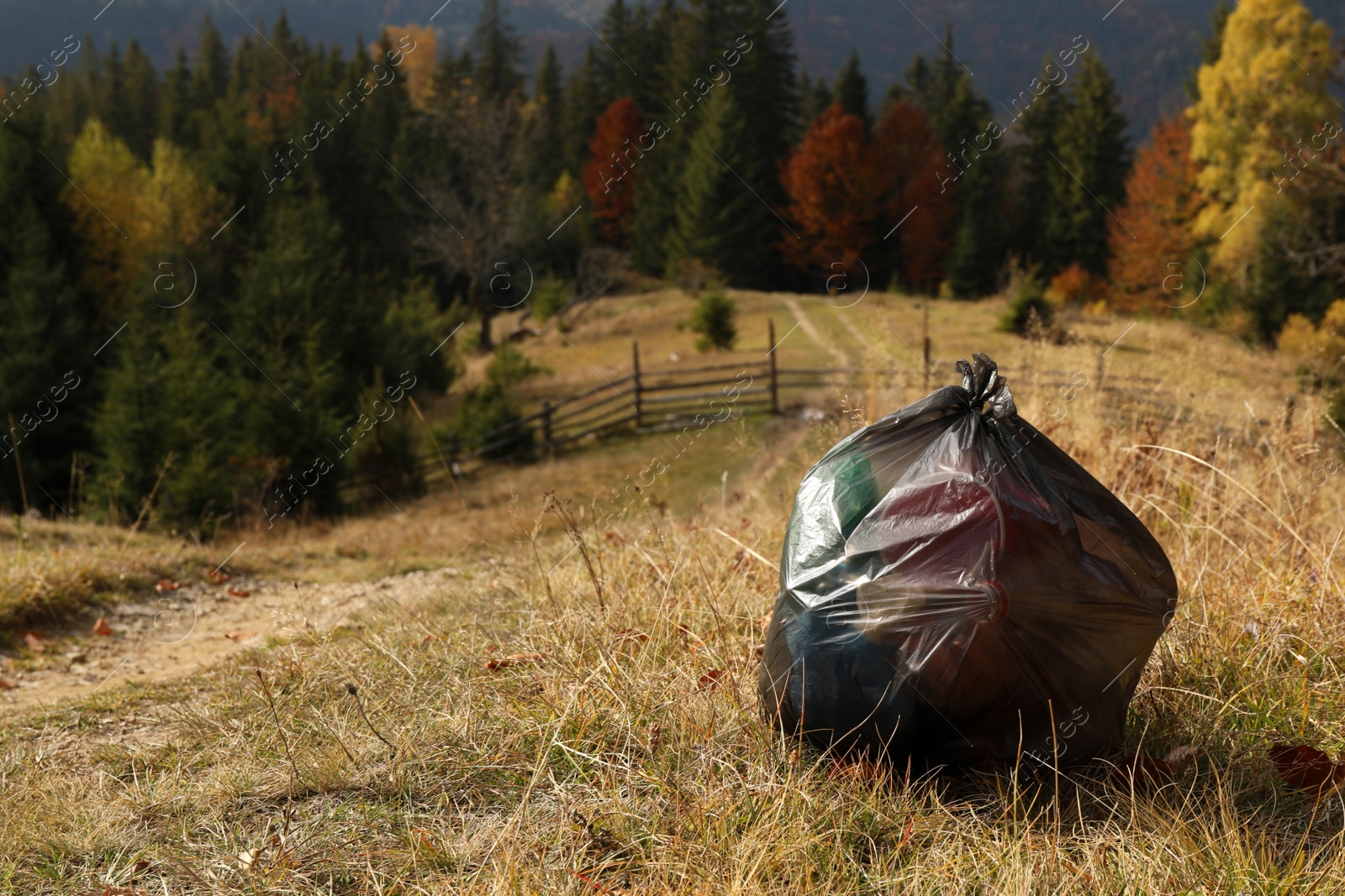 Photo of Trash bag full of garbage on ground against beautiful forest. Space for text