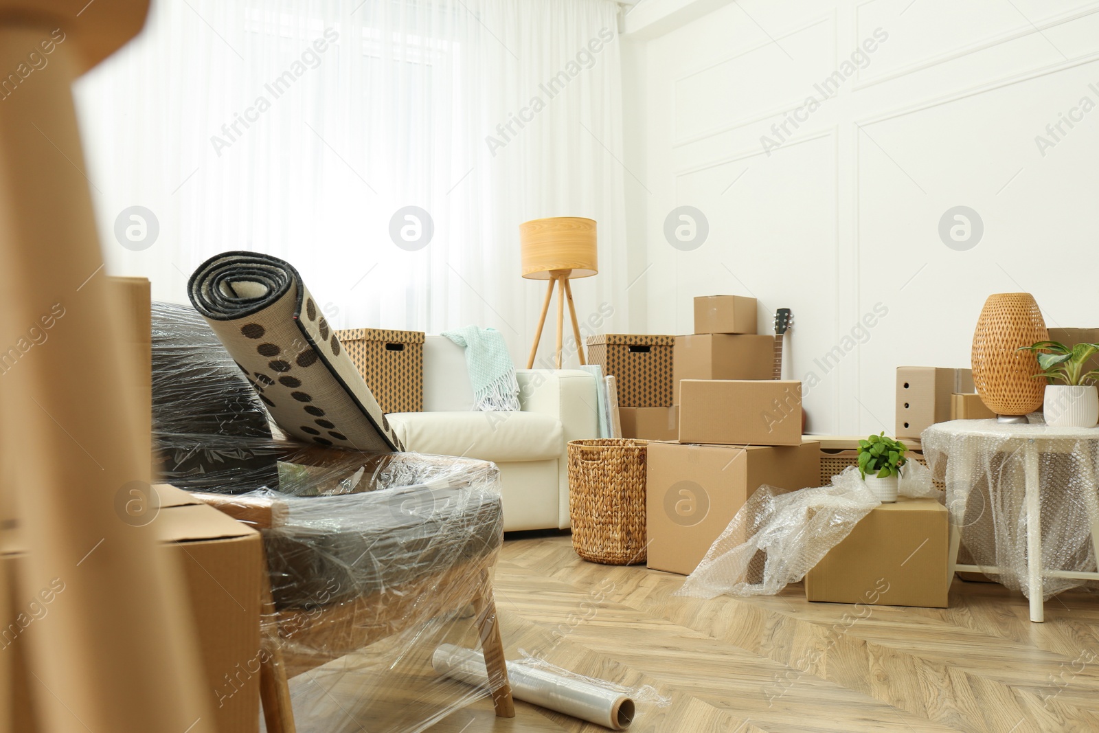 Photo of Cardboard boxes, potted plants and household stuff indoors. Moving day