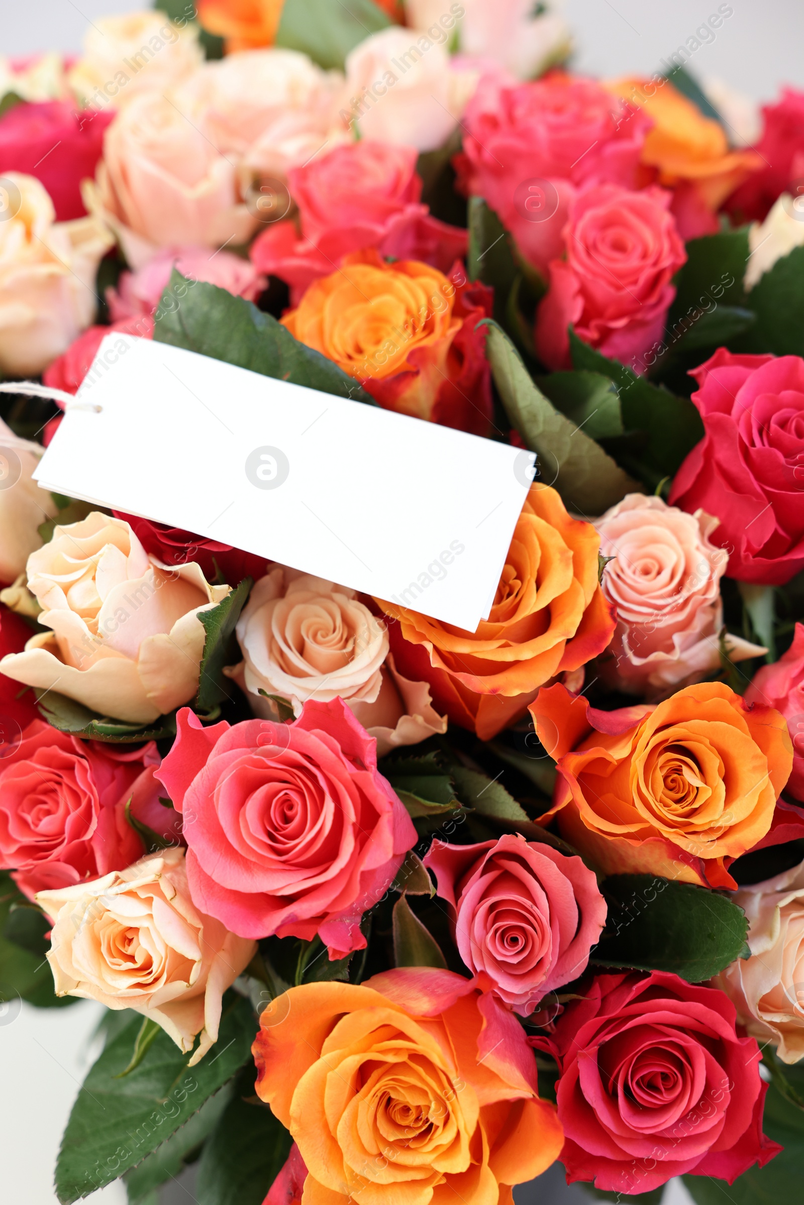 Photo of Bouquet of beautiful roses with blank card, closeup