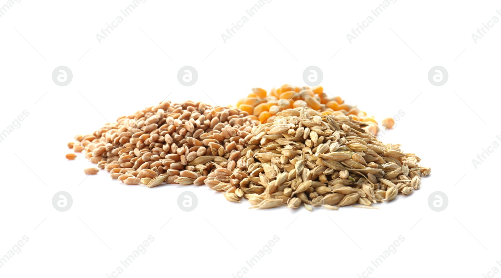 Photo of Different types of grains and cereals on white background