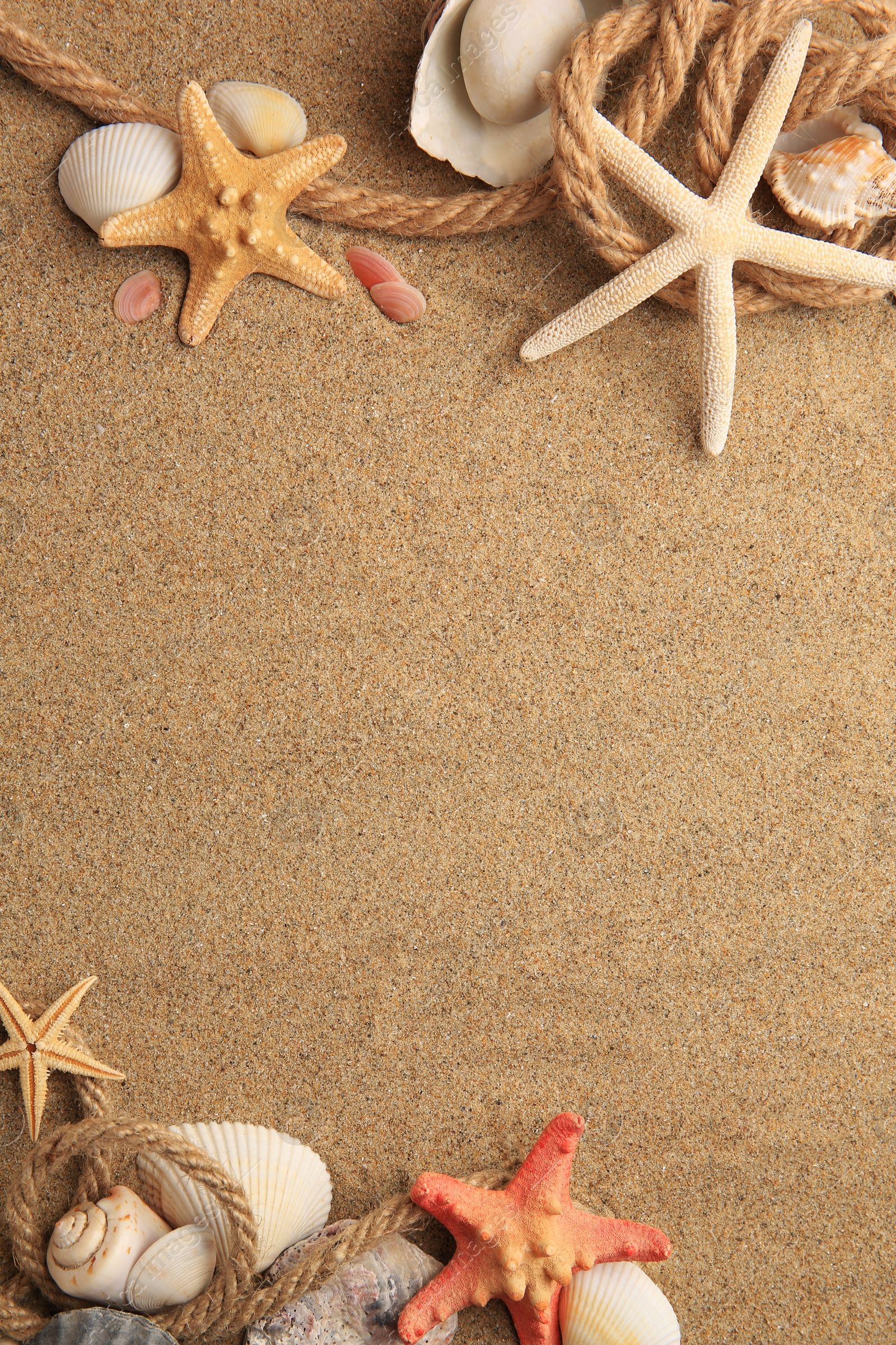 Photo of Beautiful sea stars, shells and ropes on sand, flat lay. Space for text