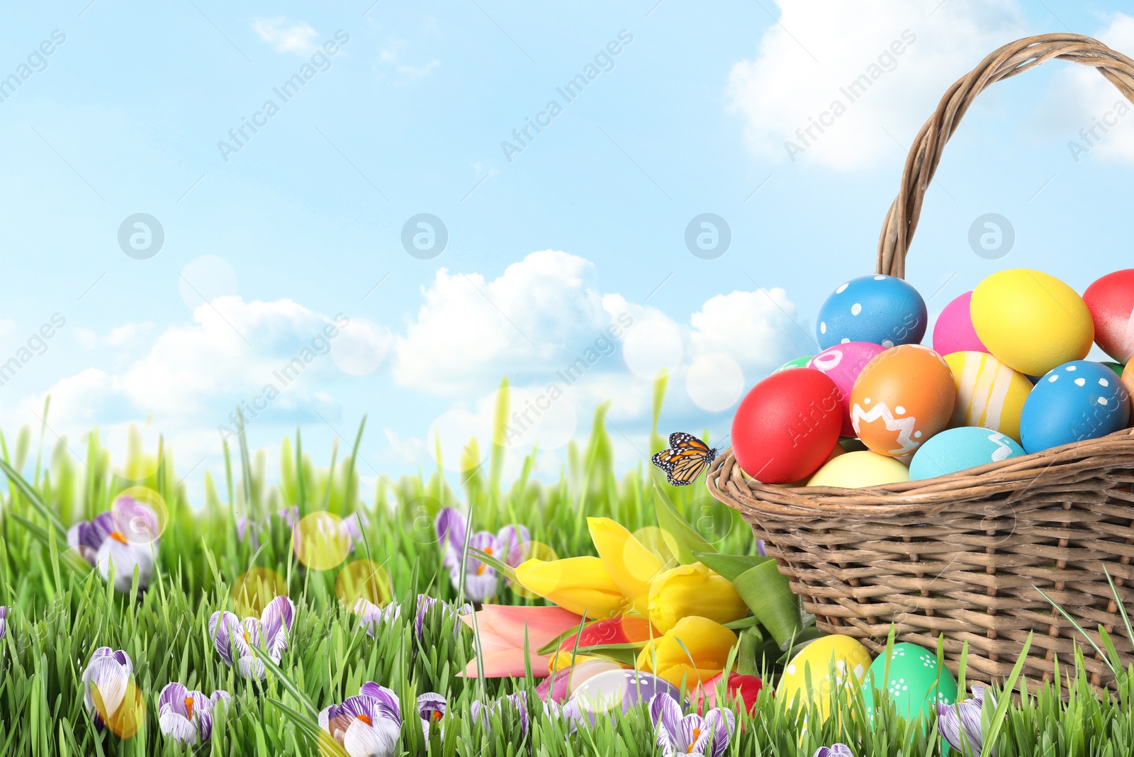 Image of Wicker basket with Easter eggs in green grass against blue sky. Space for text