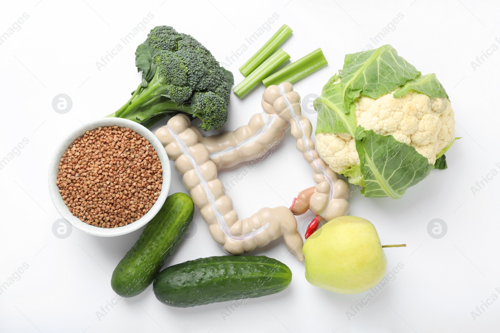 Photo of Intestine model and products to help digestion on white background, top view