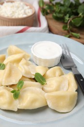 Photo of Plate of delicious dumplings (varenyky) with cottage cheese, mint and sour cream, closeup