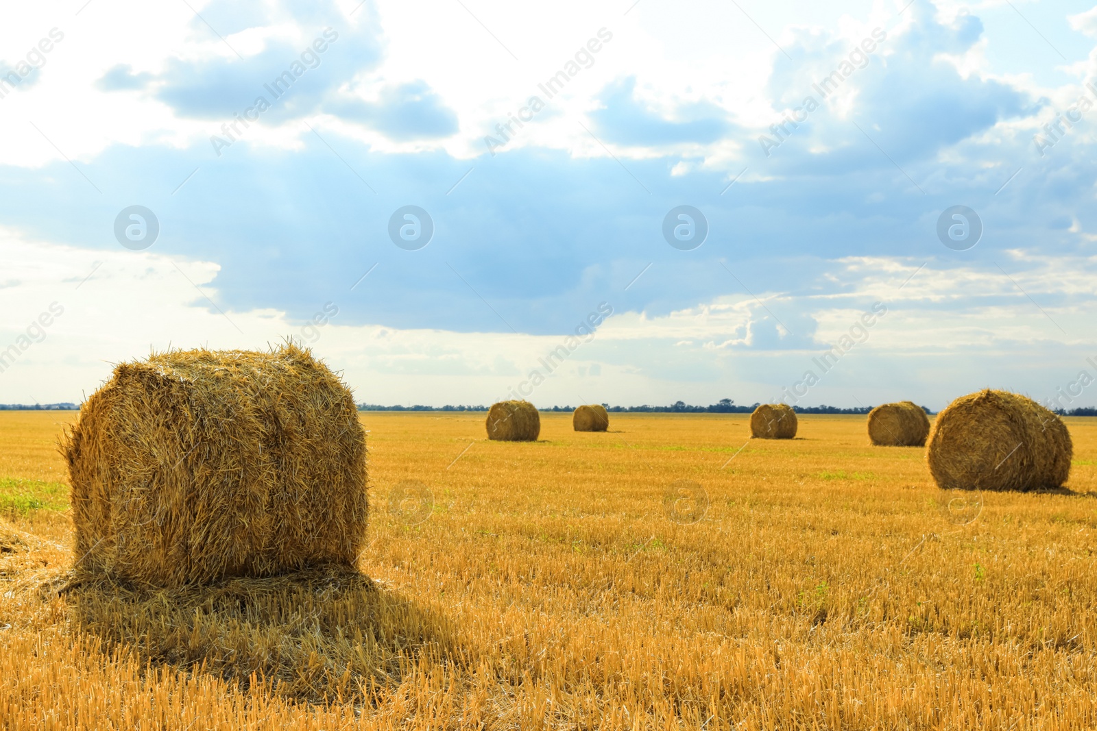 Photo of Beautiful view of agricultural field with hay bales