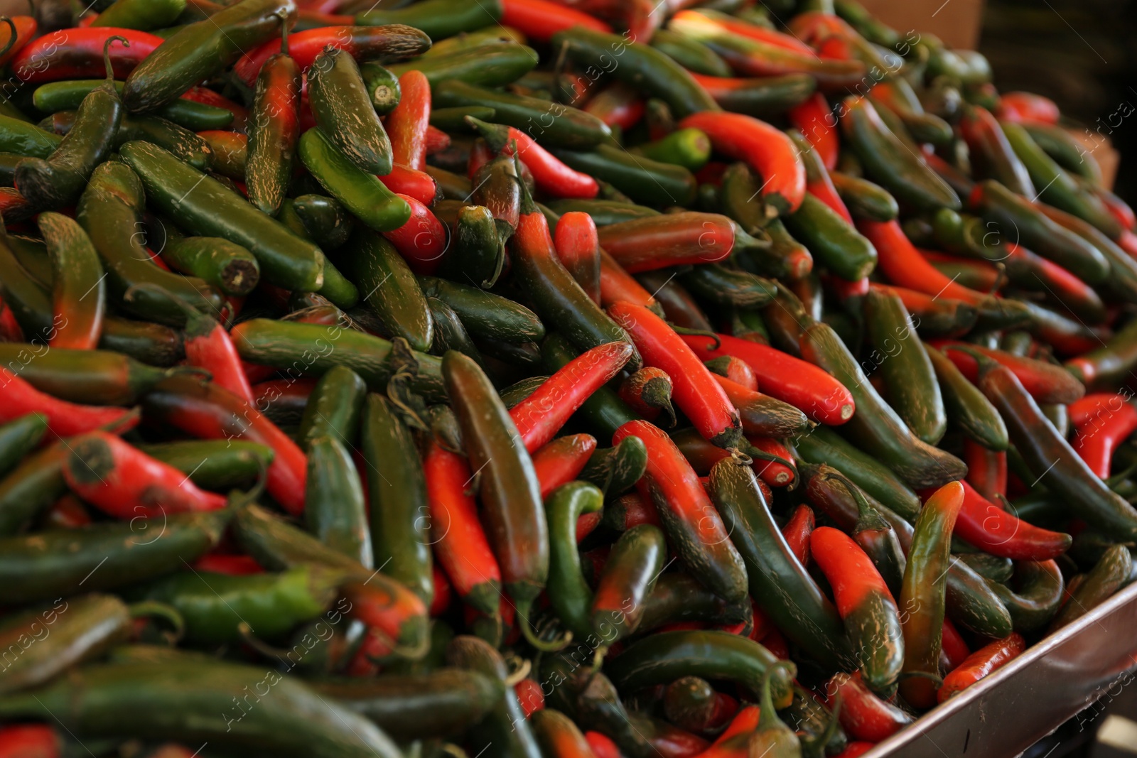 Photo of Heap of fresh Serrano peppers on counter at market, closeup