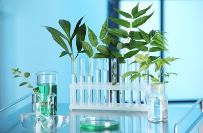 Photo of Test tubes with liquid and plants on metal table indoors, toned in blue