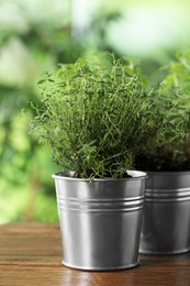 Photo of Aromatic potted thyme and oregano on wooden table