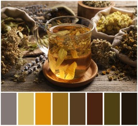 Image of Freshly brewed tea and dried herbs on wooden table and color palette. Collage