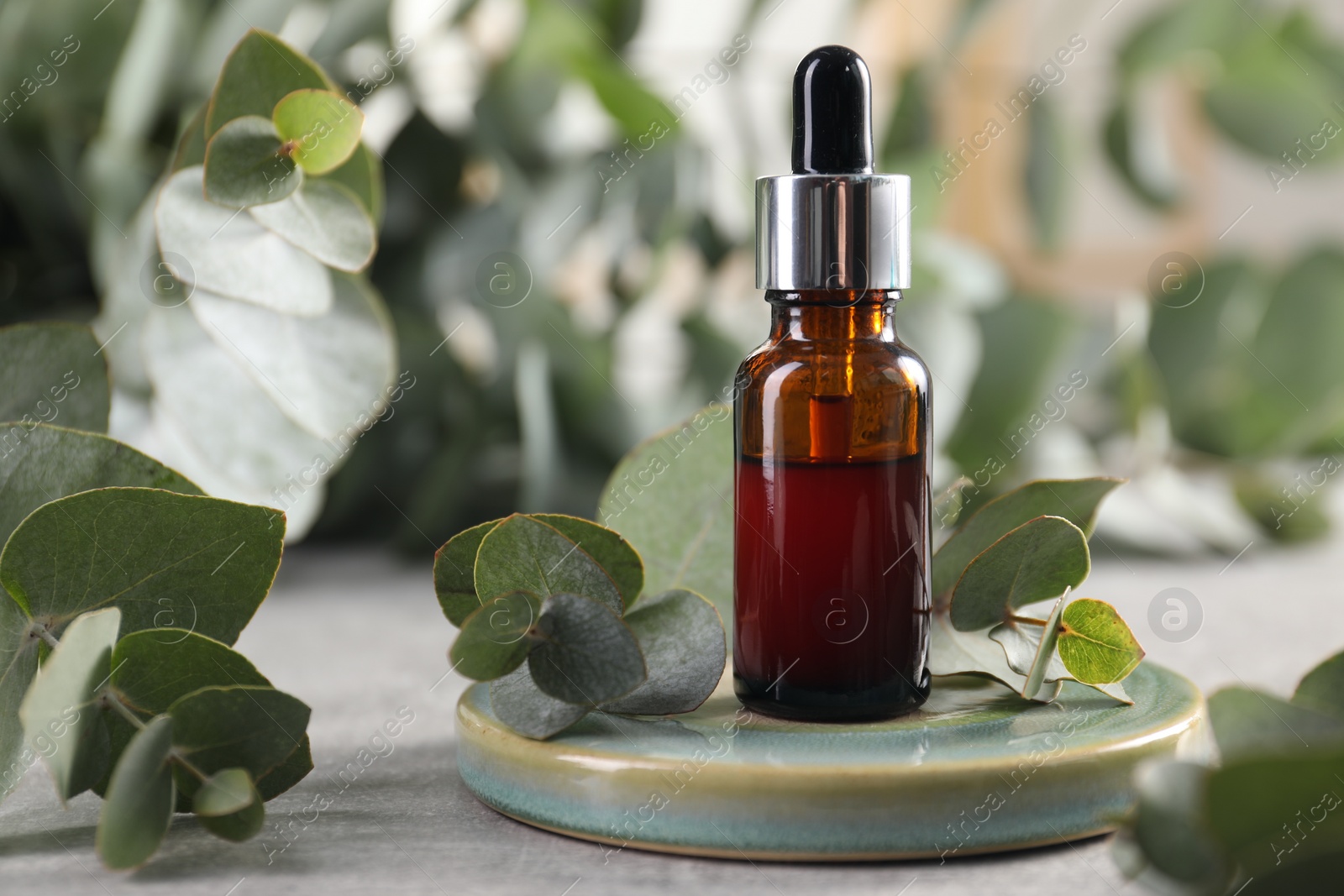 Photo of Aromatherapy. Bottle of essential oil and eucalyptus leaves on grey table