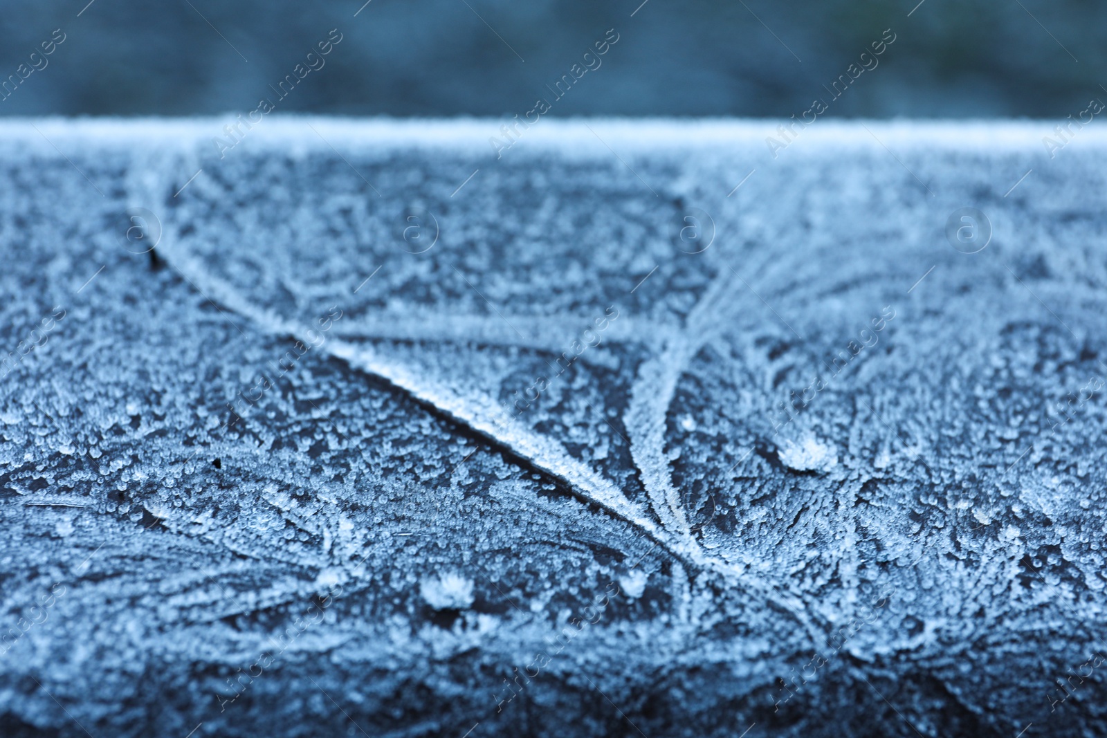 Photo of Plank covered with beautiful hoarfrost on blurred background, closeup