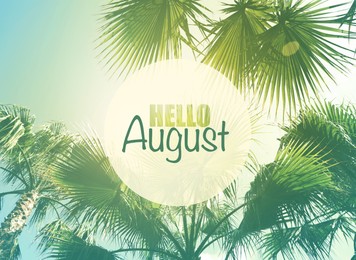 Image of Hello August. Beautiful view of palm trees on sunny day