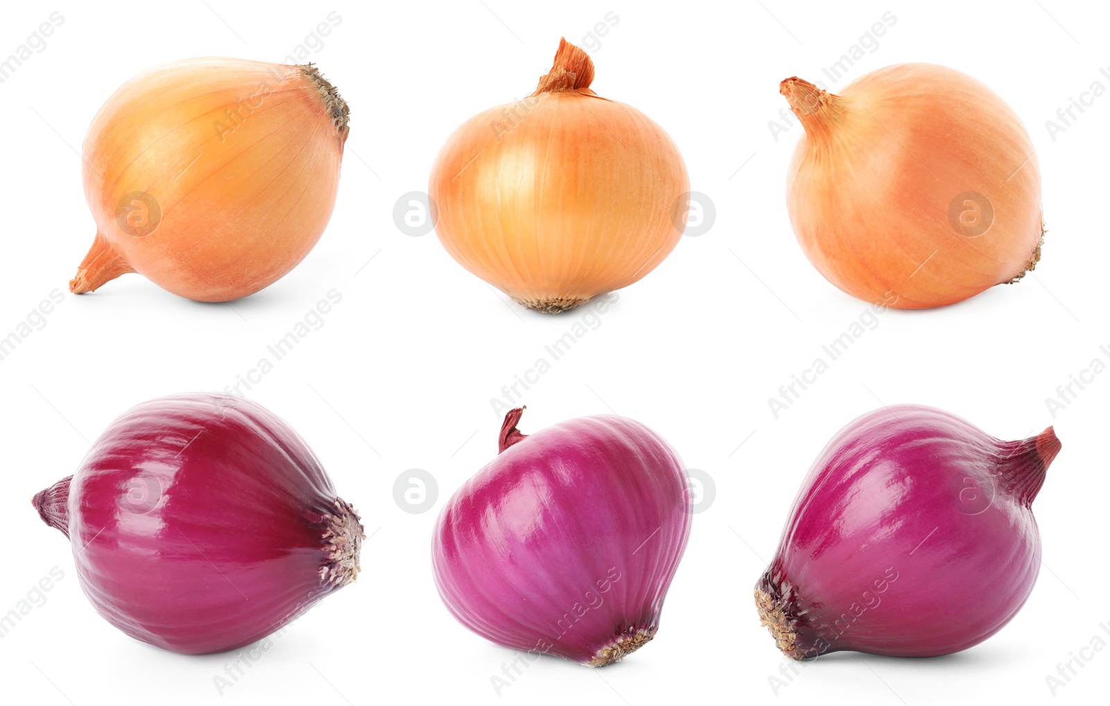 Image of Collage with yellow and red onions on white background