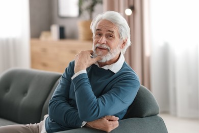 Portrait of happy grandpa with grey hair sitting on sofa indoors