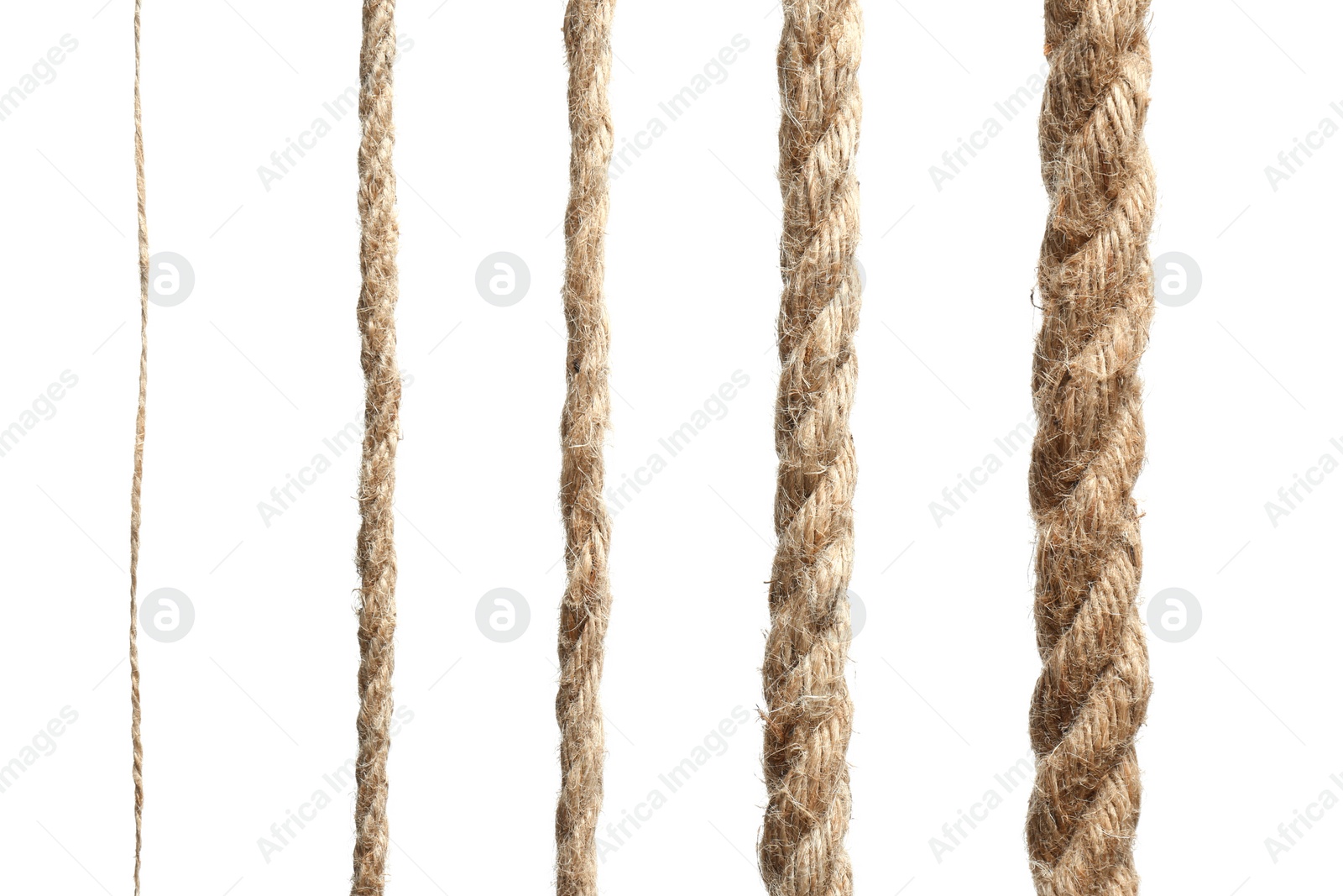 Photo of Set of hemp ropes on white background