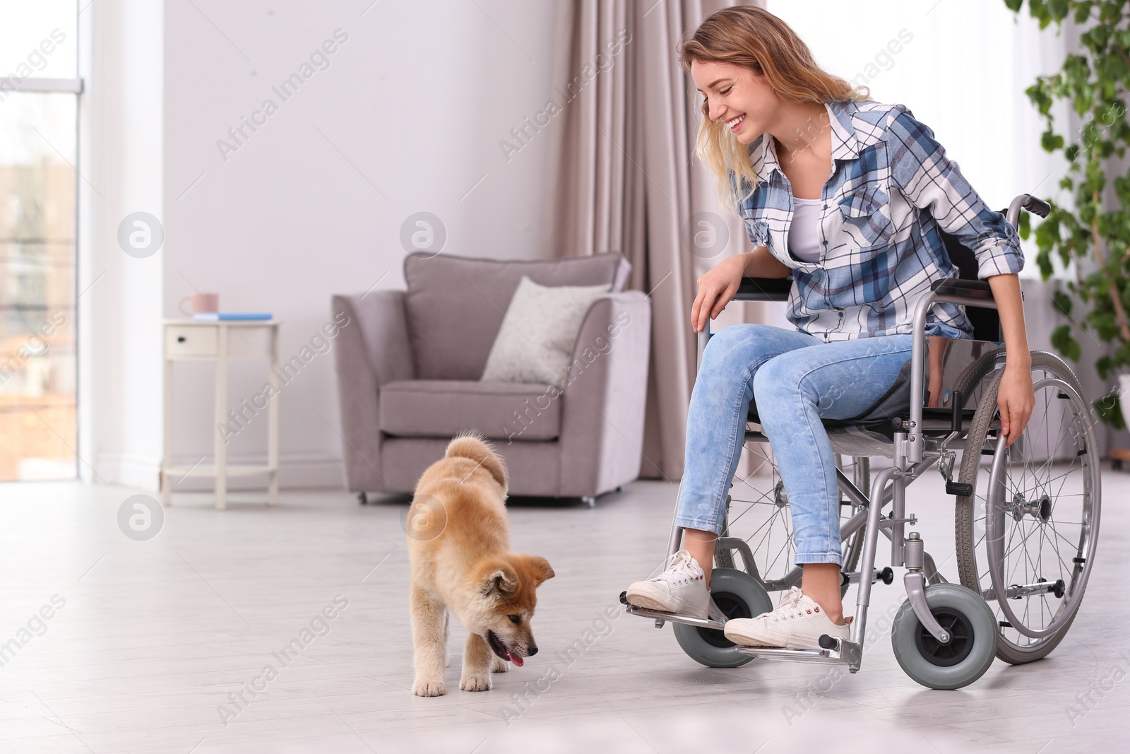 Photo of Young woman in wheelchair with puppy at home