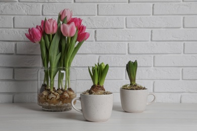 Photo of Potted hyacinth flowers and tulips with bulbs on white wooden table