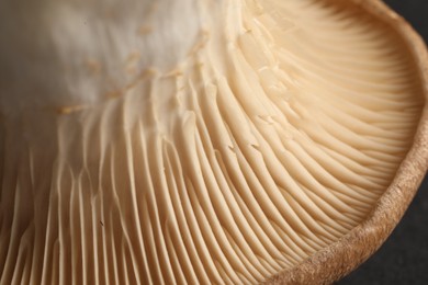 Photo of Fresh oyster mushroom on black table, macro view