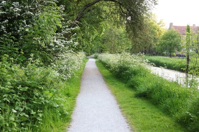 Photo of Beautiful view of pathway among green plants outdoors