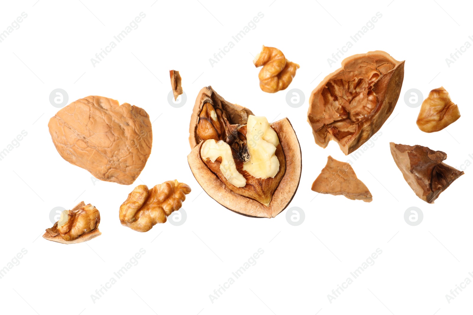 Photo of Pieces of walnut and shell falling on white background