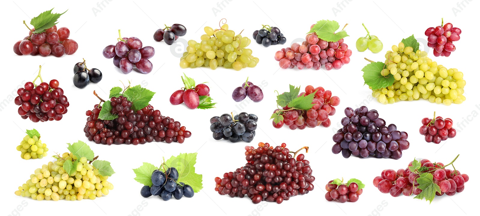 Image of Set with different fresh ripe grapes on white background. Banner design