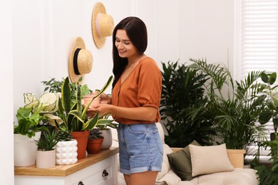 Photo of Woman watering houseplant at home. Elements of interior design