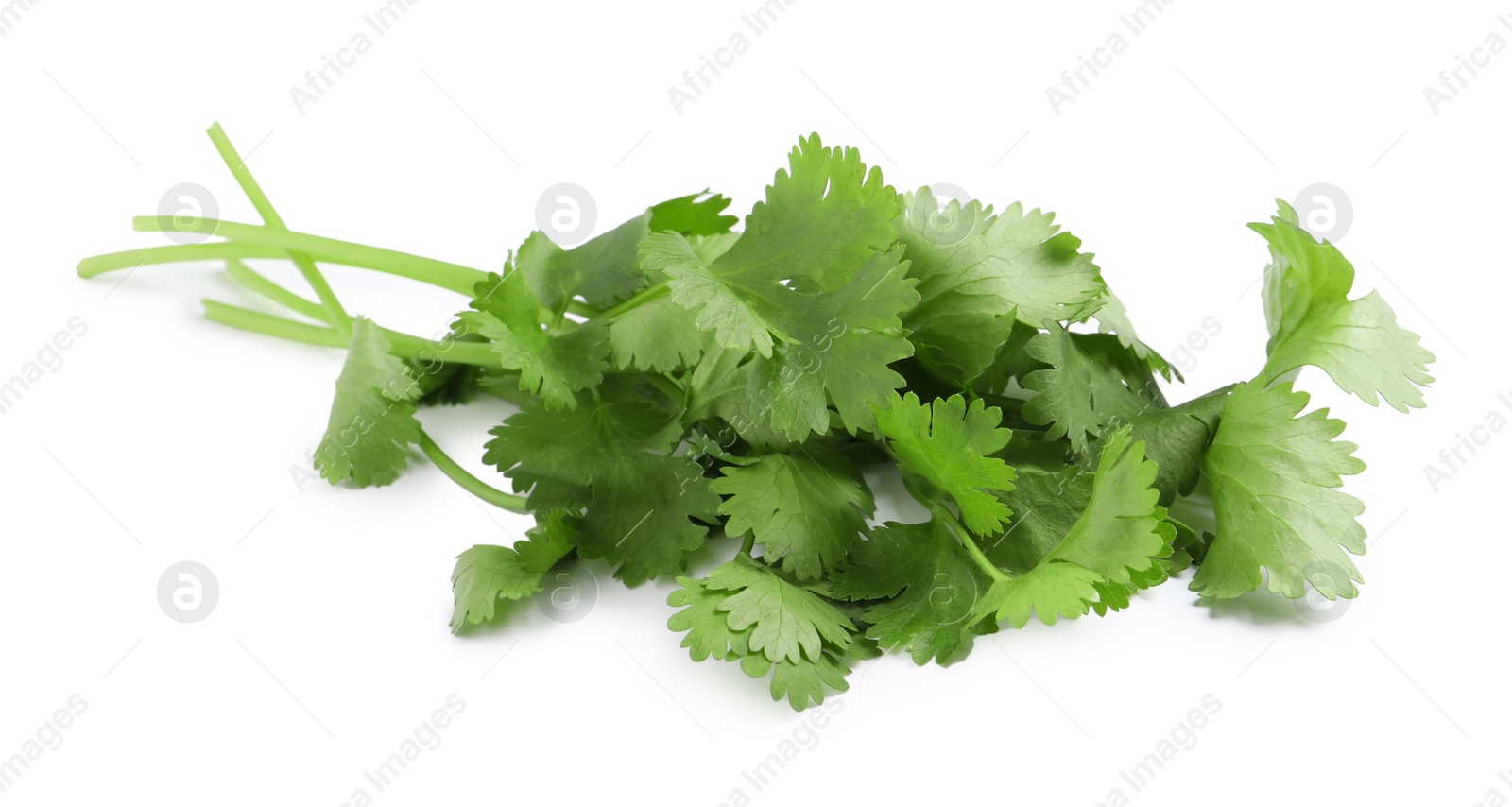 Photo of Fresh green coriander leaves on white background