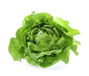 Photo of Fresh green butter lettuce head isolated on white