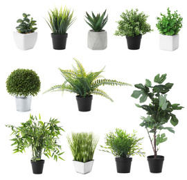 Image of Set of artificial plants in flower pots isolated on white