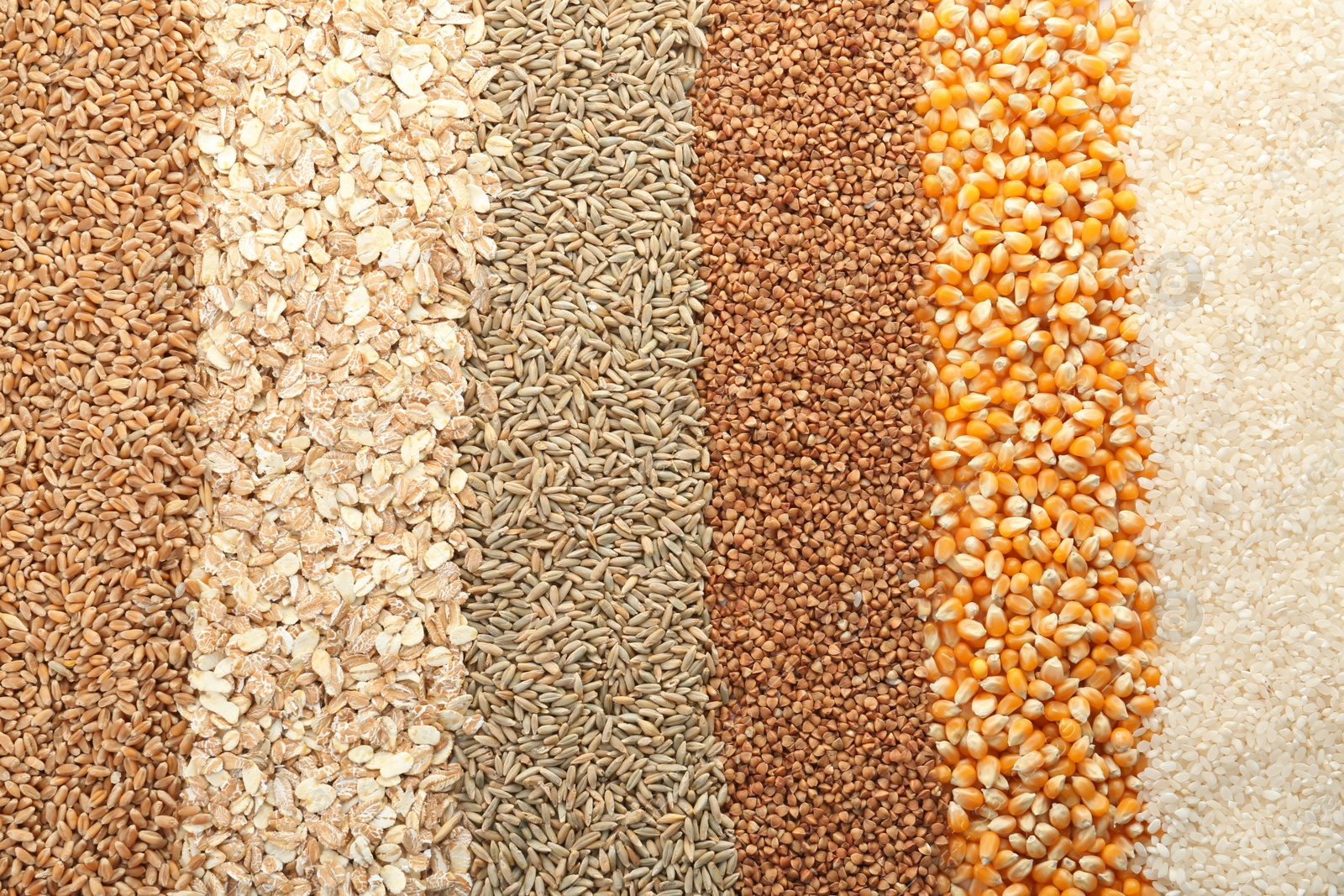 Photo of Different types of grains and cereals as background