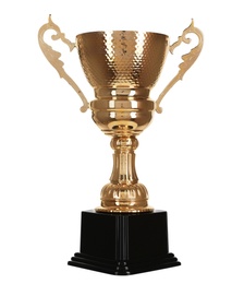 Shiny gold cup on white background. Winner's trophy