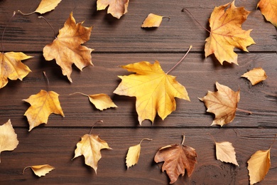 Photo of Flat lay composition with autumn leaves on wooden background
