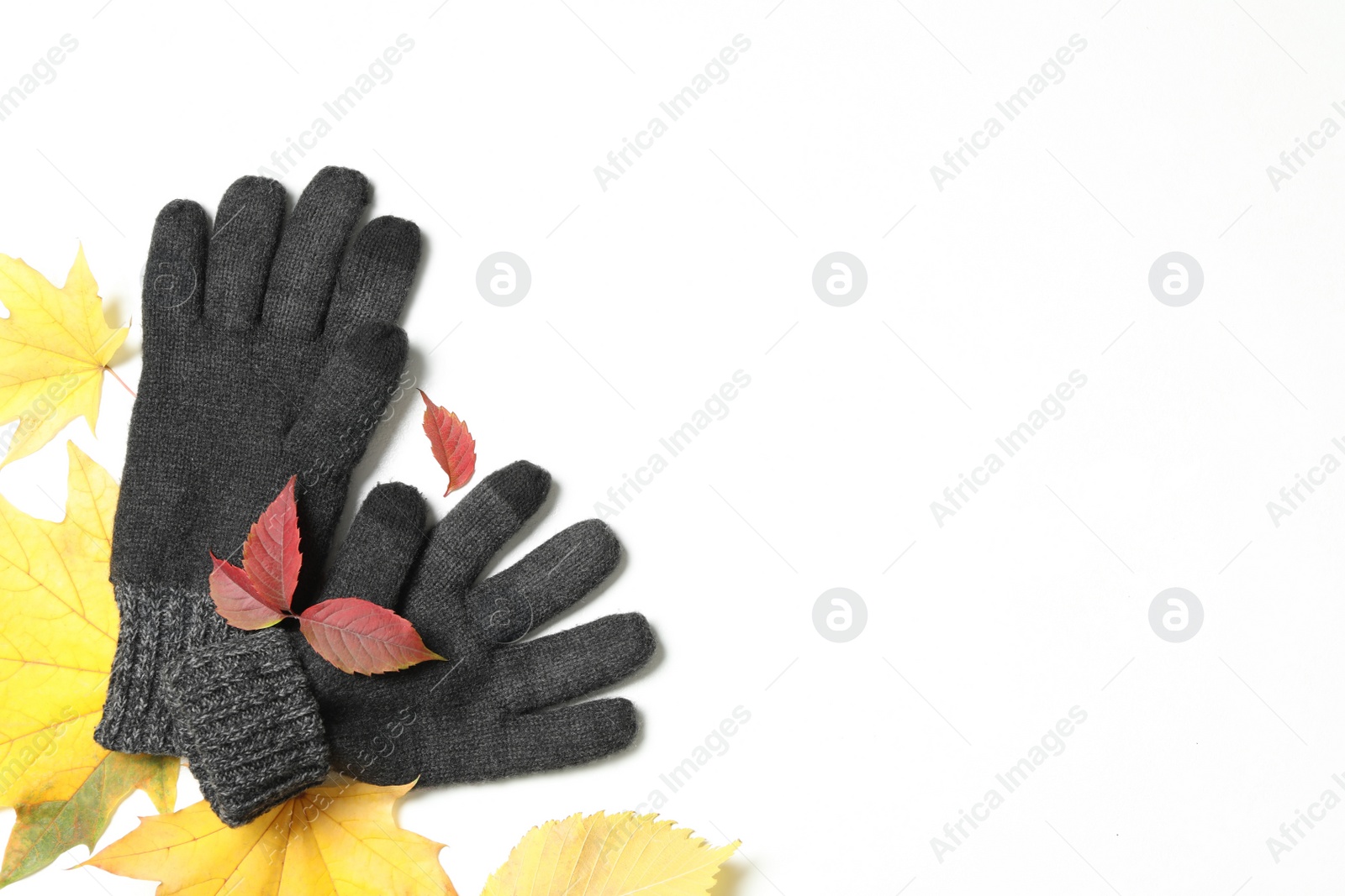 Photo of Stylish grey woolen gloves and dry leaves on white background, top view