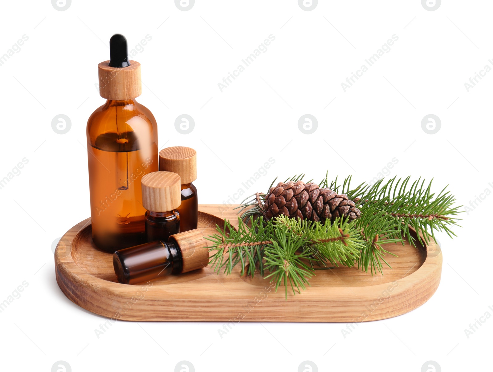 Tray with bottles of pine essential oil, branches and cone on white background Photo of Tray with bottles of pine essential oil, branches and cone on white background