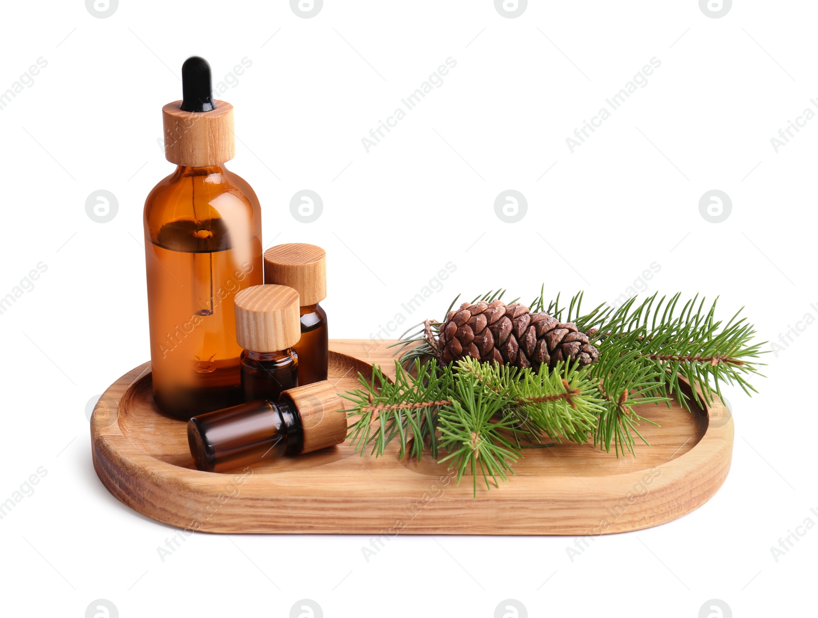 Photo of Tray with bottles of pine essential oil, branches and cone on white background