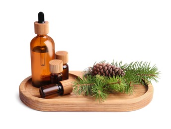 Tray with bottles of pine essential oil, branches and cone on white background